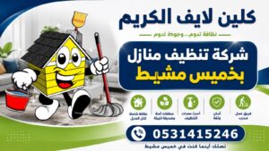 افضل شركة تنظيف منازل بخميس مشيط